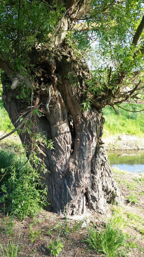 Willowcroft Alkborough エクステリア 写真